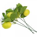 Floristik24 Ramo decorativo limone e fiori ramo artificiale decorazione estiva 26 cm 4 pezzi