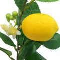 Floristik24 Ramo decorativo limone ramo di limone artificiale 42cm 3pz