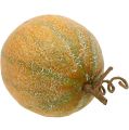 Floristik24 Melone decorativo melone Ø14cm