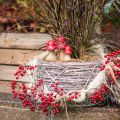 Rami di bacche rosse brillanti – Ideali per decorazioni festive, 30 cm – Set di 6 | Floristik24.it
