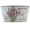 Floristik24 Fioriera in plastica color lavanda rotonda Ø21cm H11cm