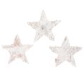 Floristik24 Mini stelle di betulla da 2 cm a 2,5 cm, sbiancate, 150 pezzi