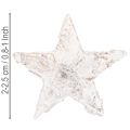 Mini stelle di betulla da 2 cm a 2,5 cm, sbiancate, 150 pezzi | Floristik24.it