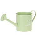 Floristik24 Vaso da fiori, annaffiatoio decorativo, fioriera in zinco verde menta, Ø16,5 cm