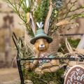 Floristik24 Deco coniglio coniglio busto decorazione figura testa di coniglio 18 cm