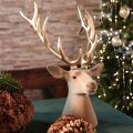 Scultura decorativa a forma di testa di cervo con grandi corna, 52 cm | Floristik24.it