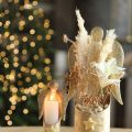 Erba di pampa decorativa crema erba secca sbiancata 95 cm 3 pz | Floristik24.it