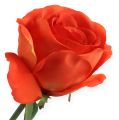 Floristik24 Deco-rose arancione 32cm 6 pezzi