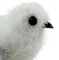 Floristik24 Uccello delle nevi 14 cm con clip