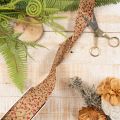 Rami decorativi in nastro con bacche rosse glitterate, 40 mm x 15 m | Floristik24.it