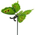 Floristik24 Farfalla sul bastone 17cm verde