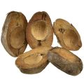 Floristik24 Fioriera in cocco, naturale, 20 cm, 5 pezzi