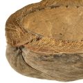 Fioriera in cocco, naturale, 20 cm, 5 pezzi | Floristik24.it