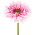 Floristik24 Gerbere artificiali da giardino, rosa, 47 cm, 6 pezzi