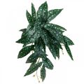 Floristik24 Begonia Artificiale Pianta Artificiale Verde, Verde Scuro 42×28cm