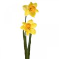 Floristik24 Narcisi Artificiali Fiori di Seta Gialli 2 fiori 61cm