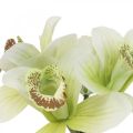 Floristik24 Orchidee artificiali fiori artificiali in vaso bianco/verde 28 cm