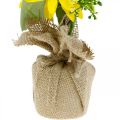 Floristik24 Girasole artificiale, fiore di seta, decorazione estiva, girasole in sacco di iuta