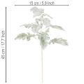Ramo artificiale di Senecio (Senecio americano), finemente lavorato, 45 cm, 3 pezzi | Floristik24.it