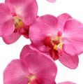 Floristik24 Orchidea artificiale con foglie Rosa 68cm