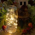 Luci a stringa a LED per interni, alimentate a batteria, luce bianca calda, 30 LED, 3 m, 6 pezzi | Floristik24.it