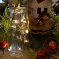 Luci decorative a batteria per interni, luce bianca calda, 10 LED, lunghezza 1 m, 6 pezzi | Floristik24.it
