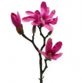 Floristik24 Ramo di magnolia 45 cm 3 pezzi