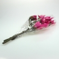 Floristik24 Ramo di magnolia 45 cm 3 pezzi