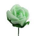 Floristik24 Mini rose in schiuma Ø2,5cm verde 72 pezzi
