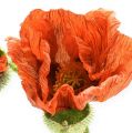 Floristik24 Poppy orange 67cm 2 pezzi