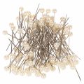 Floristik24 Spilli con testa di madreperla Ø6mm 65mm Champagne