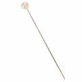 Spilli con testa di madreperla Ø6mm 65mm Champagne | Floristik24.it