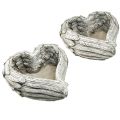 Pianta cuore piume pietra colata cuore grigio bianco 13×12×6 cm 2pz | Floristik24.it