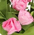 Floristik24 Decorazione da tavola mini rose rosa 16 cm